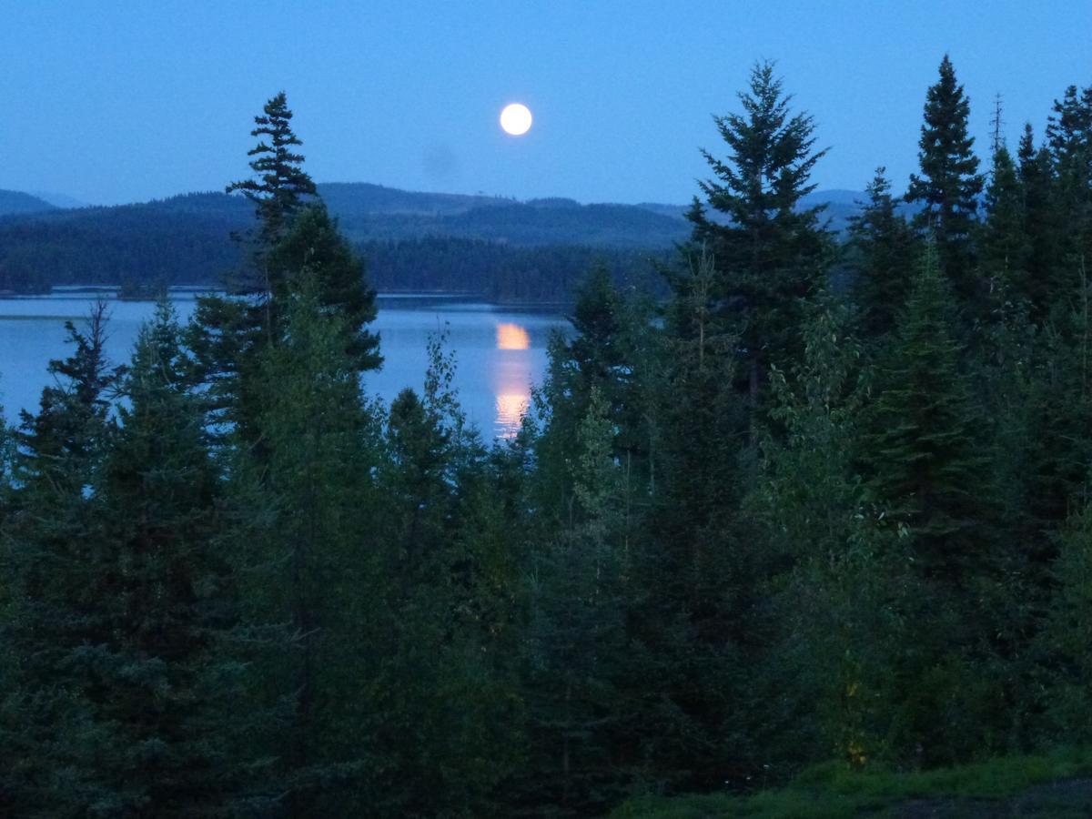Little Black Bear Lodge/B&B Bridge Lake Exterior foto