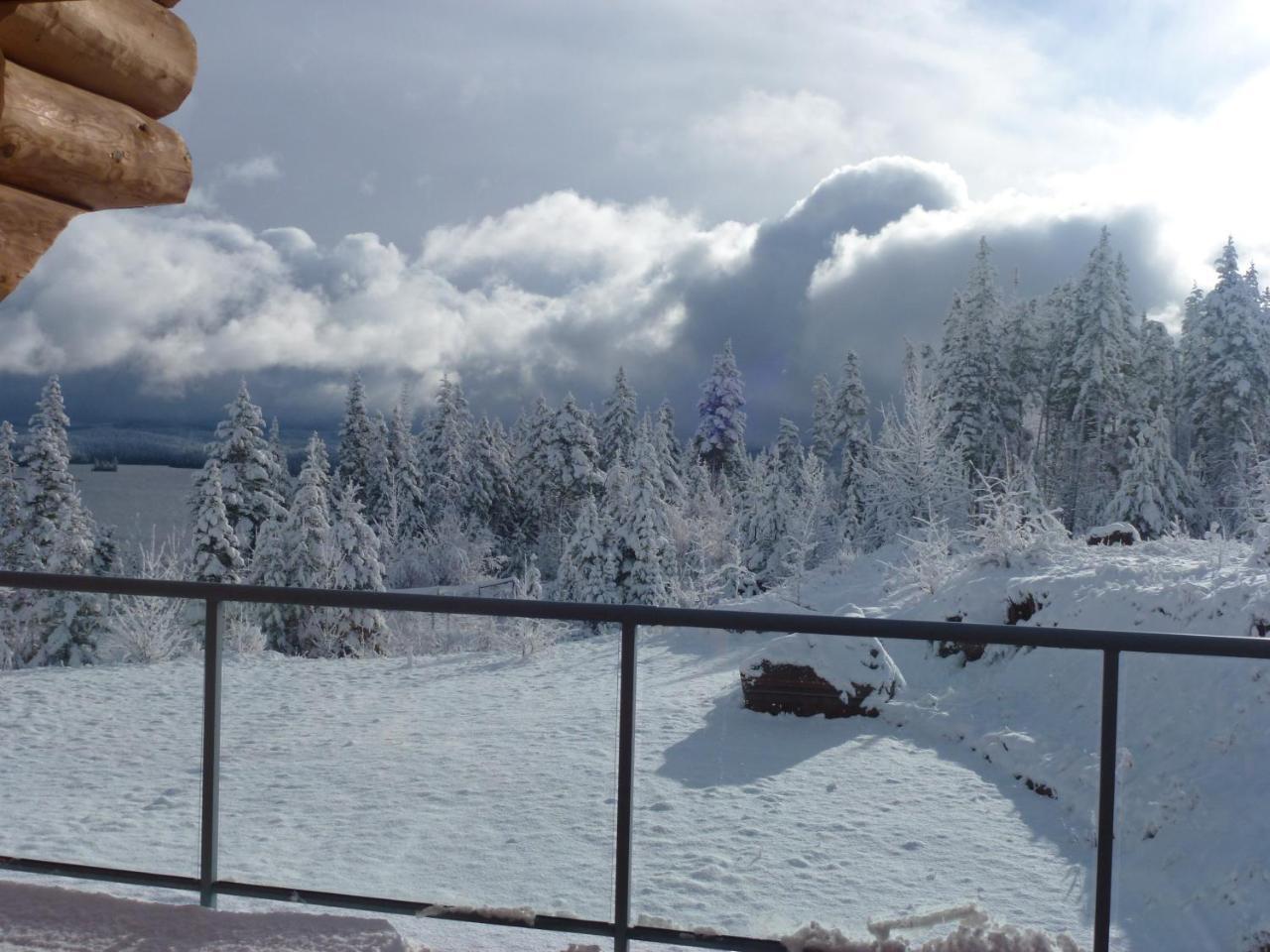 Little Black Bear Lodge/B&B Bridge Lake Exterior foto